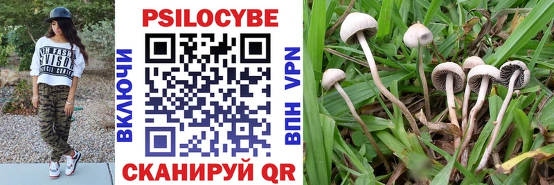 Галлюциногенные грибы Cubensis  Тосно 