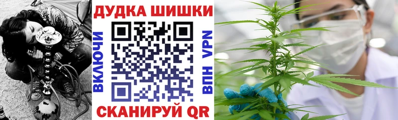 гидра маркетплейс  Тосно  Канабис сатива 